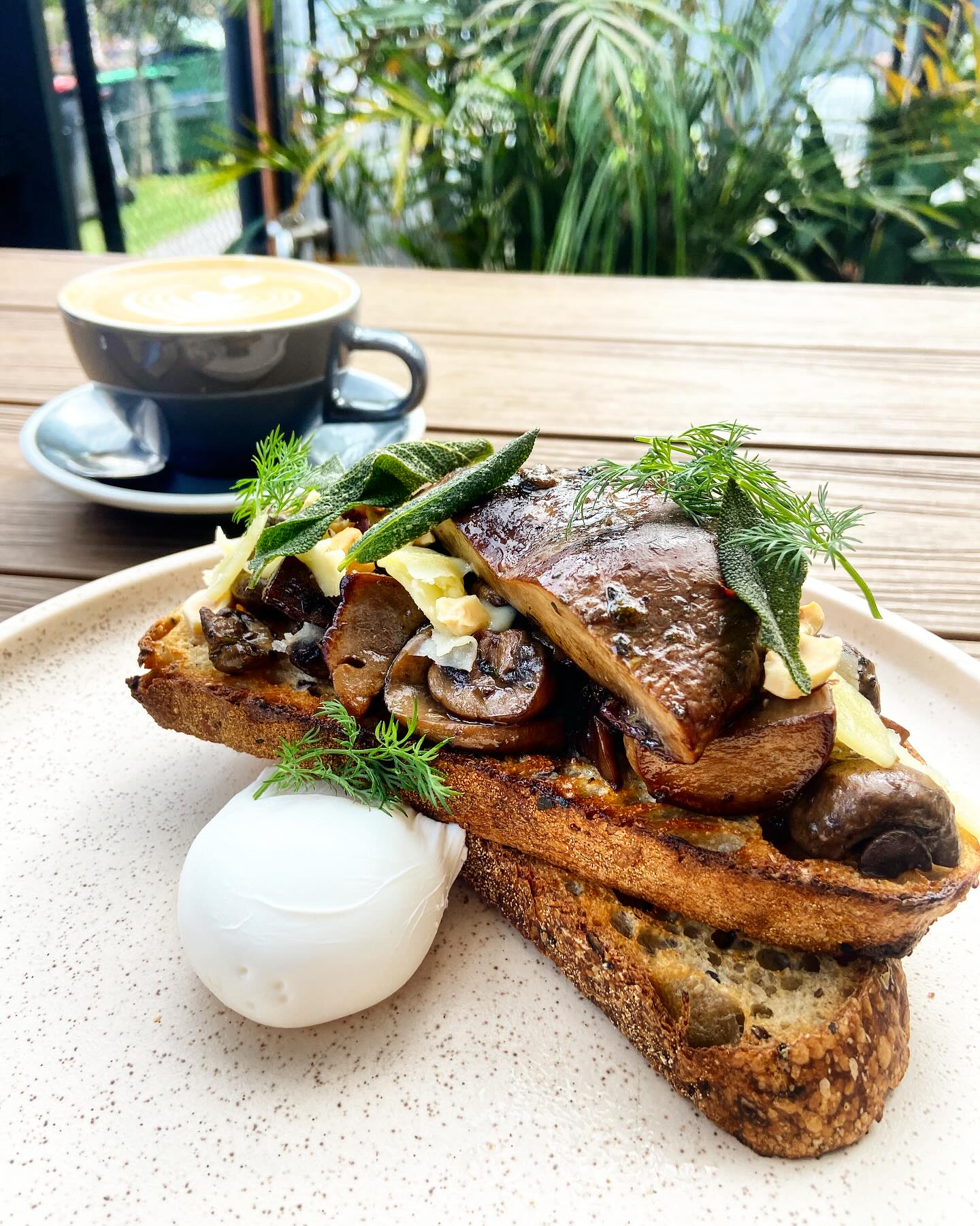 You must try one of our new additions, Mushrooms on Toast π